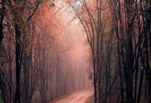 九游:明日大战,国足进入杭州奥体中心内场踩场.