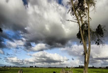 郭艾伦缺阵弗格35分 阿丘尔20+10辽宁力克龙狮3连胜.