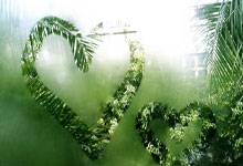 印尼3分钟丢2球!澳大利亚精彩反击,韦卢皮莱超级单刀挑射破门.